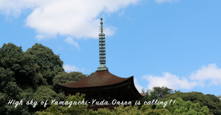 大会長からのお知らせ