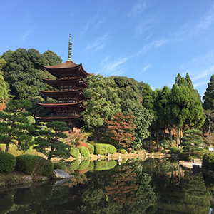 瑠璃光寺五重塔